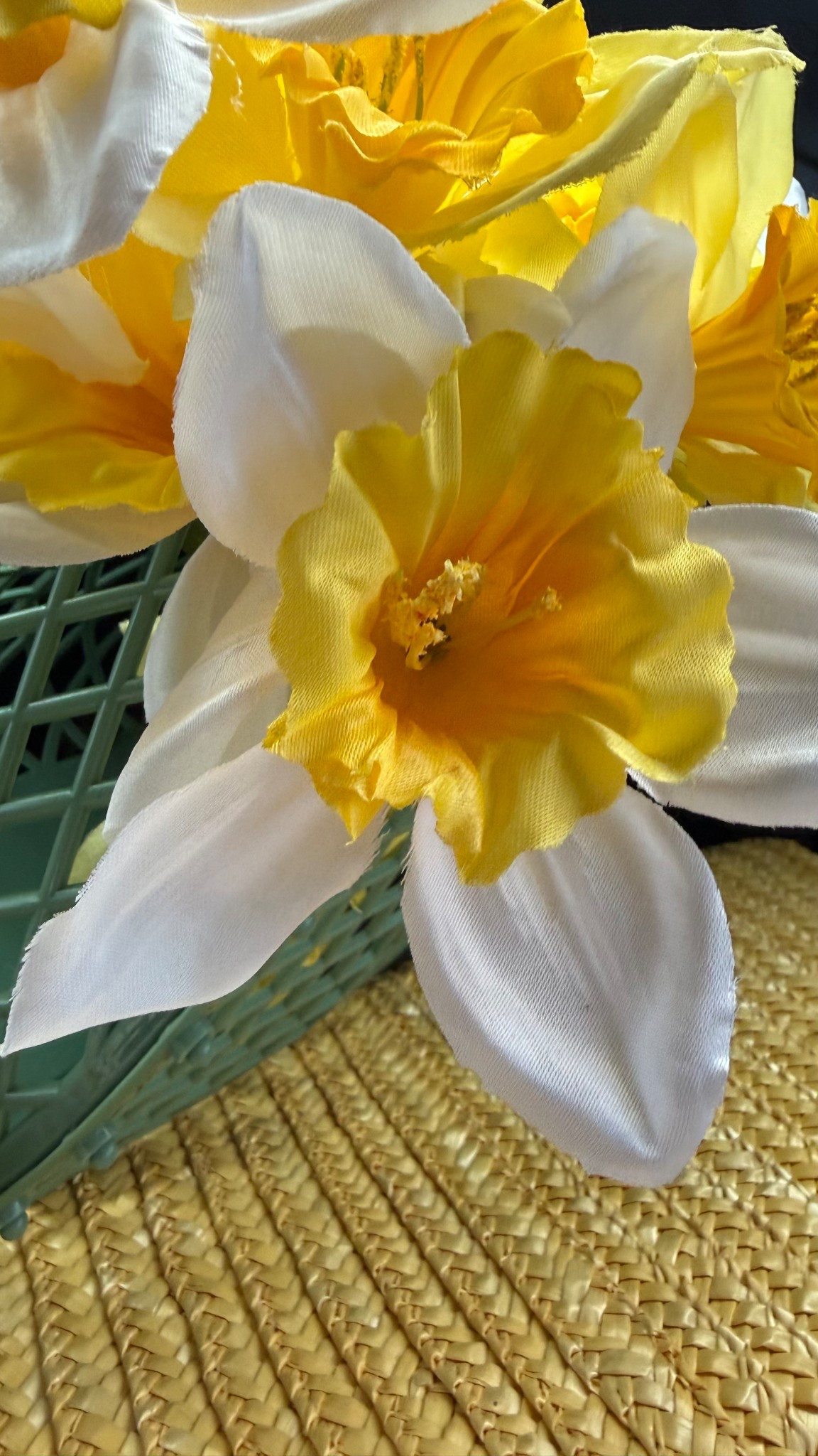 Daffodil Festival Accessories 

#LTKSeasonal #LTKSaleAlert #LTKFestival