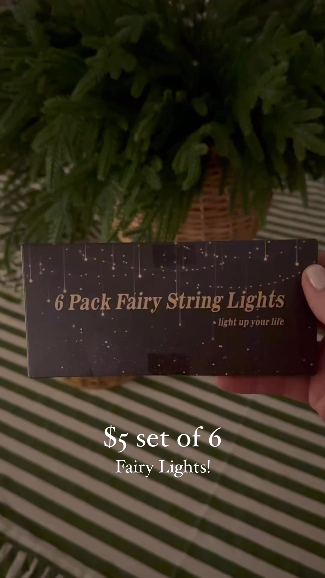 $5 Fairy Lights! 