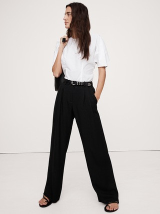 Soho Mid-Rise Pleated Wide-Leg Drapey Twill Pant | Banana Republic (US)