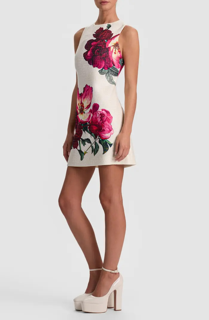 Alice + Olivia | Nordstrom