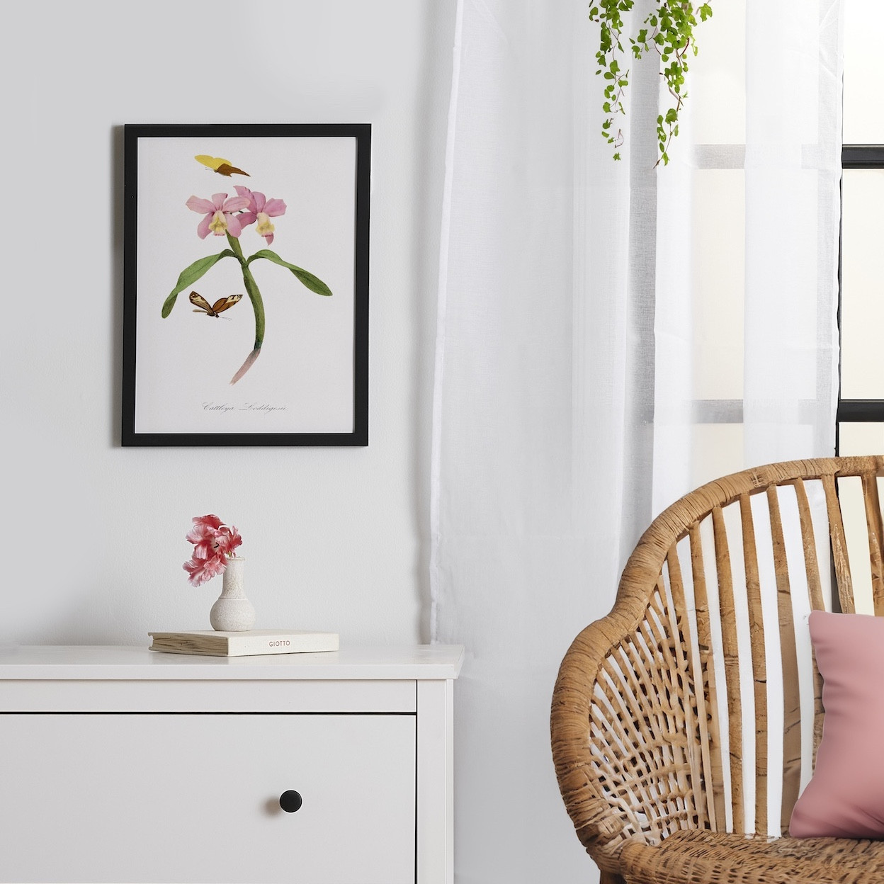 Cattleya Orchids By Paul Gervais Framed Poster | Society6