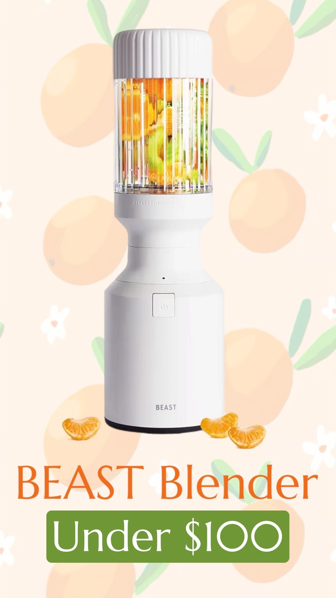 Beast Blender - under $100!! 

#LTKSaleAlert #LTKfitnessgoals #LTKmorningroutine