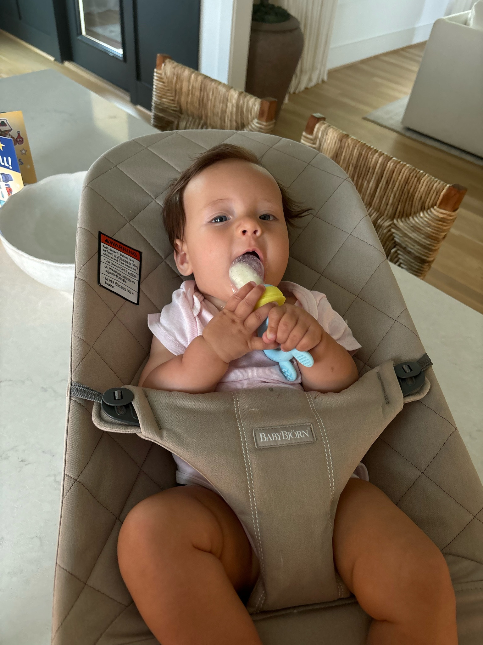 Milk teether popsicle 

#LTKbaby