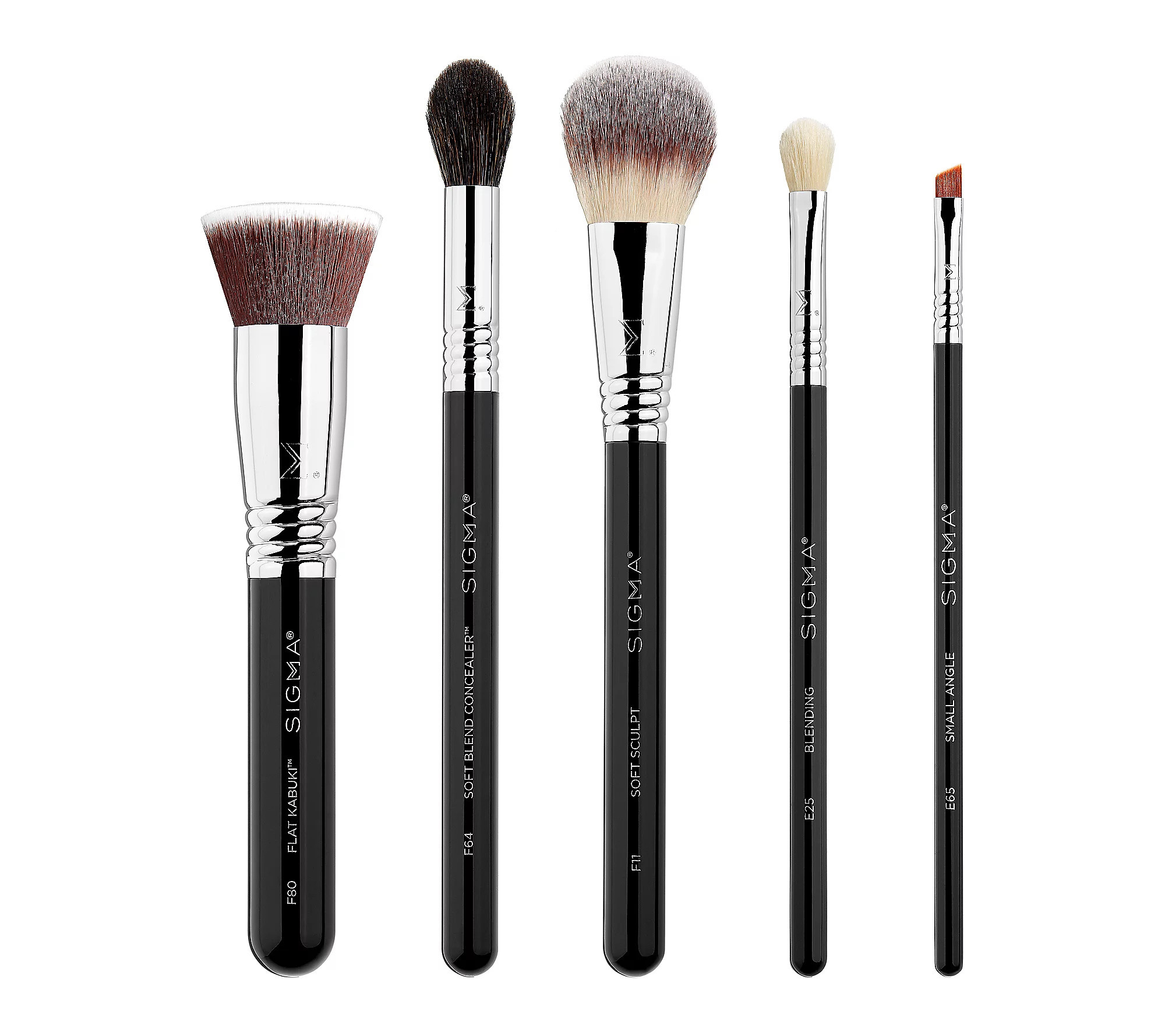 Sigma's Must-Have Brush Set | QVC