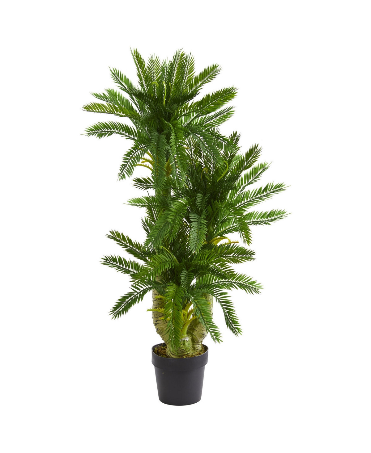 Nearly Natural Triple Potted Cycas Artificial Plant - Green | Macy's