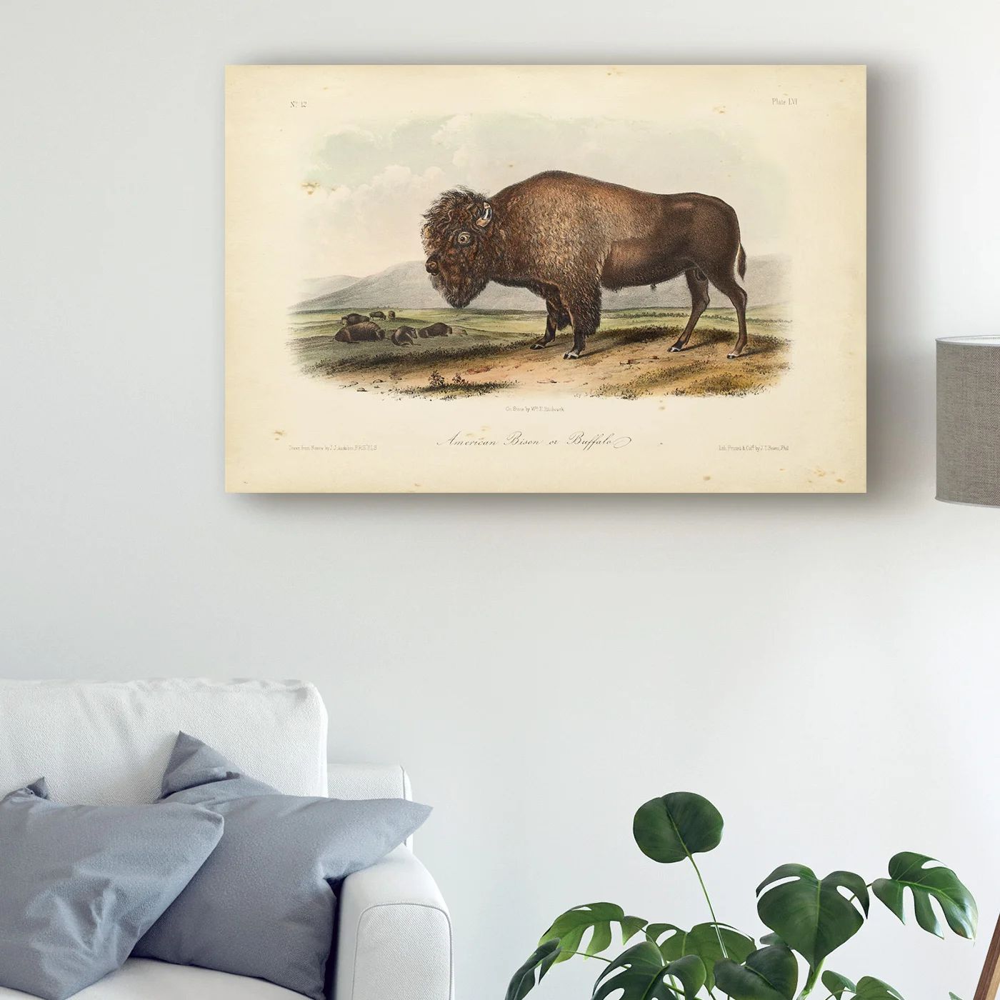 East Urban Home " American Bison Standing " by James Audubon Painting Print | Wayfair | Wayfair North America