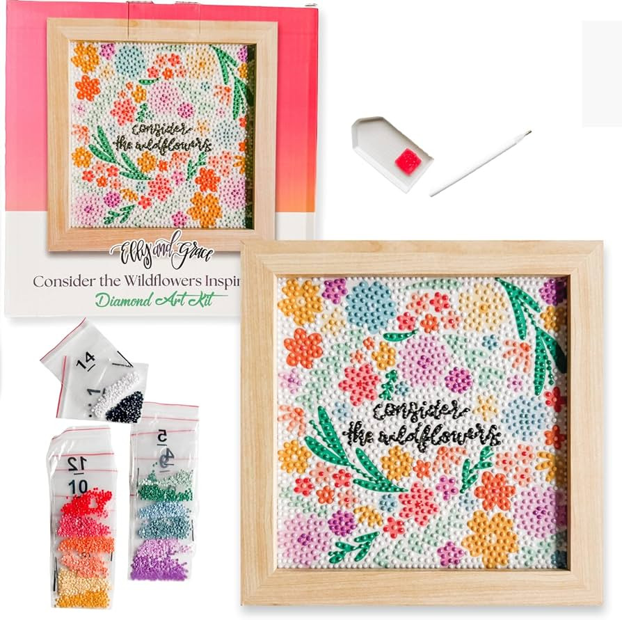 Elly and Grace Christian Diamond Art Kit, Beautiful 8x8 Square Diamond Art Painting Kits with Eve... | Amazon (US)
