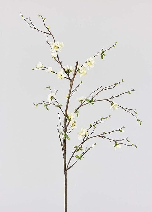 Afloral Artificial Flowers | Cream Artificial Blossom Branch - 57" | Amazon (US)
