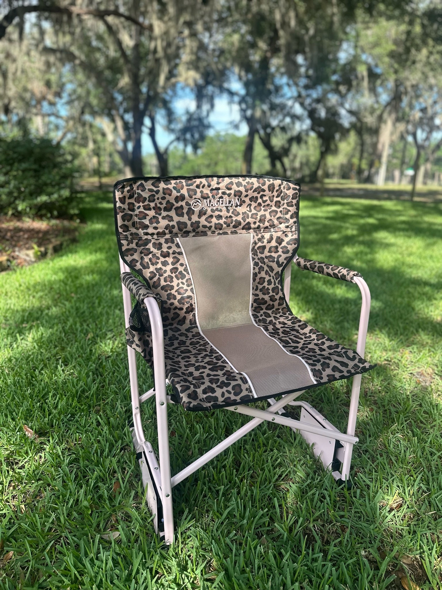 Leopard & pink chair from Academy!
