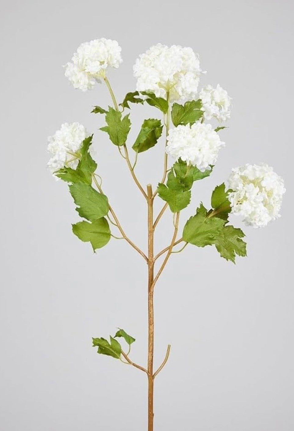 ✨Can’t believe I found THE viral floral stem with an Amazon Prime Day deal + an extra 15% off coupon! 🙌
It’s the lowest price EVER—run before it sells out!

I also rounded up more top-rated stems that are either on Prime Day sale or have a clipable coupon right now. All linked have a deal! 
Perfect for styling vases, mantels, shelves & more 💐

#AmazonFinds #FloralStems #FauxFlorals #PrimeDayDeals #ShelfStyling #BudgetDecor #VaseFiller #InteriorDetails #AmazonHome #DecorOnABudget #MyLTKFinds
 

#LTKHome #LTKStyleTip #LTKHome #LTKSaleAlert