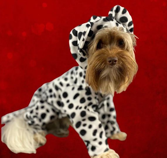 Dalmatian costume for dogs up to 20 pounds Cruela is | Etsy | Etsy (US)