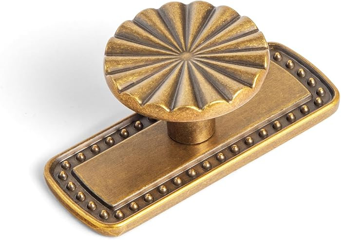 Goo-Ki 1.5'(38mm) Dia Antique Brass Cabinet Knob with Gilded Beaded Border Backplate, Zinc Alloy ... | Amazon (US)