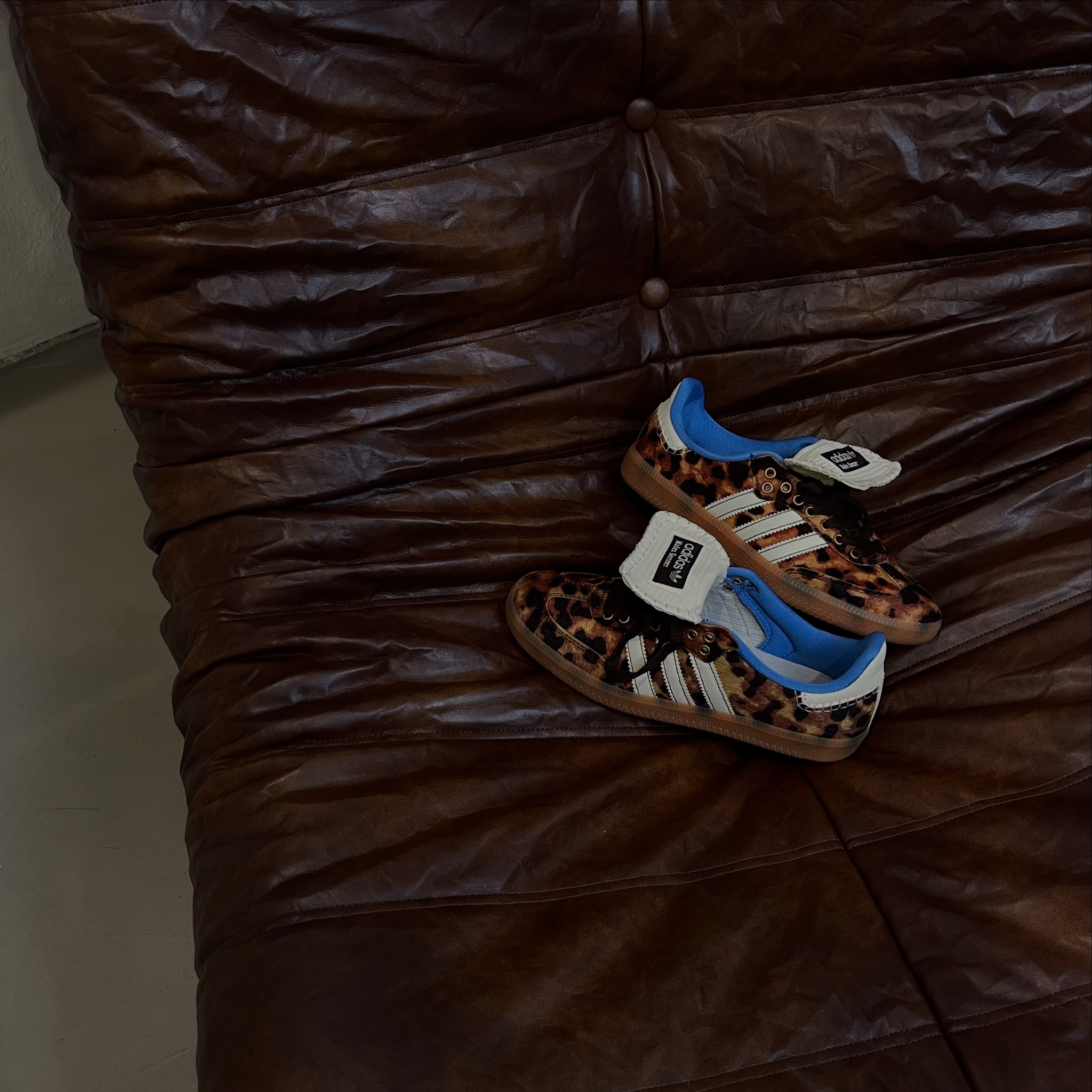 Leopard print sneakers 🤌🏽

#LTKShoeCrush #LTKStyleTip