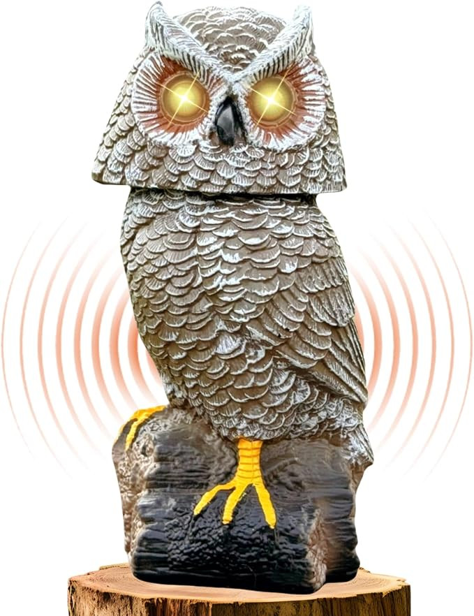 Solar Powered Garden Owl with Motion Detection, Rotating Head, Realistic Hoots and Silent Mode, O... | Amazon (US)