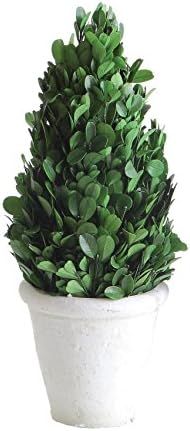 Creative Co-op 11" Preserved Boxwood Cone Shaped Clay Pot Topiary, Medium, Green,DA5562 | Amazon (US)