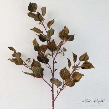 Silver Dollar Eucalyptus Stem | Interior Delights