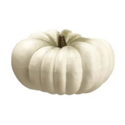 14" White Flat Round Pumpkin Fall Harvest Table Top Decoration Northlight Seasonal | Wayfair North America