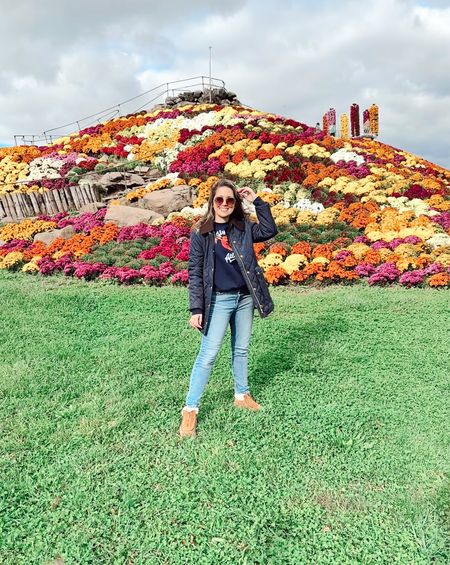 A mountain of mums- nothing better 🧡❤️💜

#fallootd #fallflowers #falljacket #princessdi