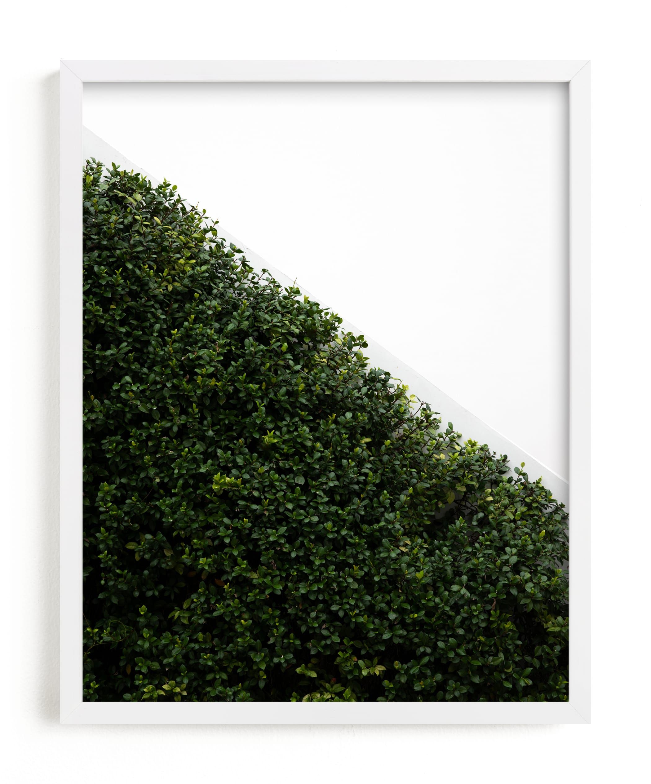 verdant garden I | Minted