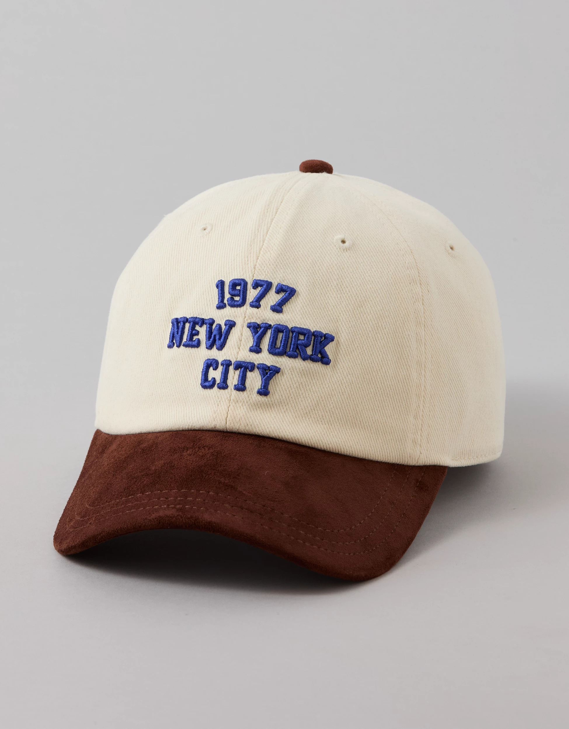AE Graphic Baseball Hat | American Eagle Outfitters (US & CA)