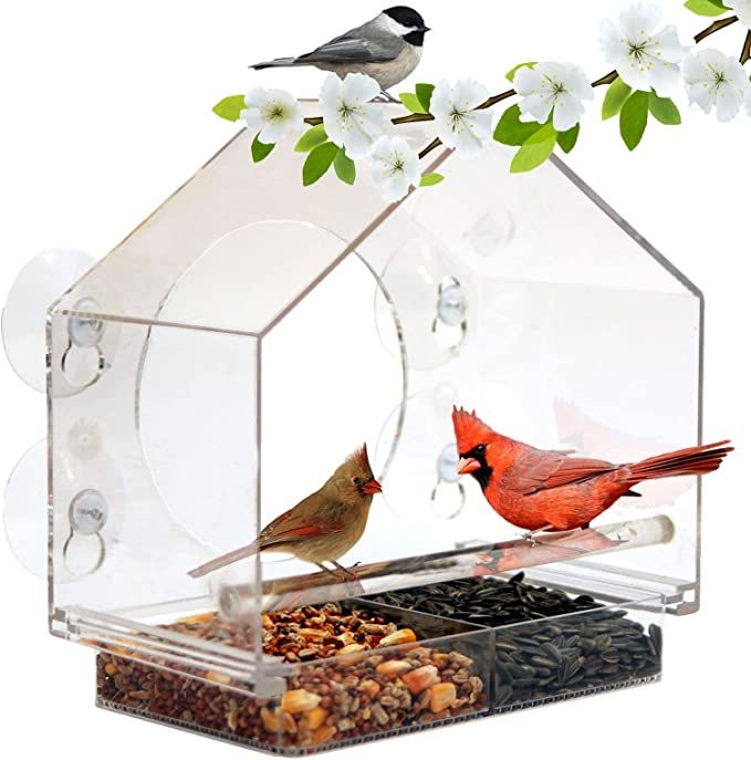 Nature Anywhere Clear Plastic Window Bird Feeder for Outside - Clear Window Bird Feeders with Str... | Amazon (US)