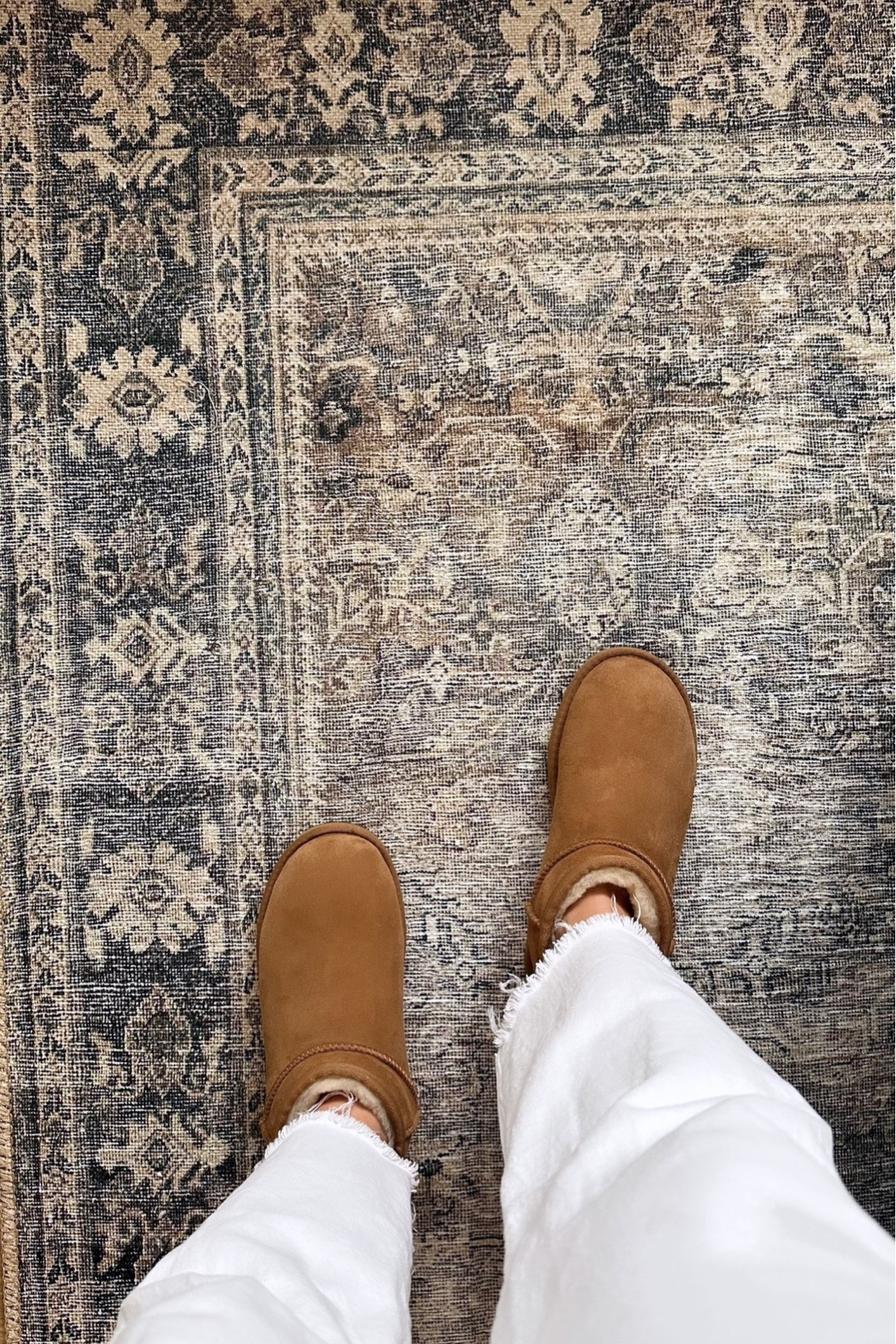 New rug. New Uggs 🤎

#LTKhome