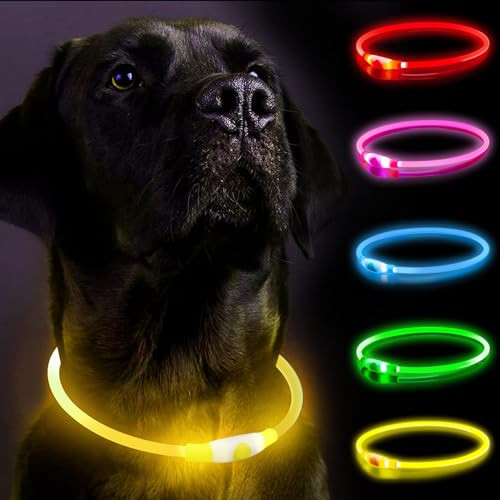 Light Up Dog Collar for The Dark, Dog Collar Light with USB Rechargeable, Led Dog Collar, Adjustable Flashing Puppy Collars with Three Light Modes, Basic Collar (Yellow) | Amazon (UK)
