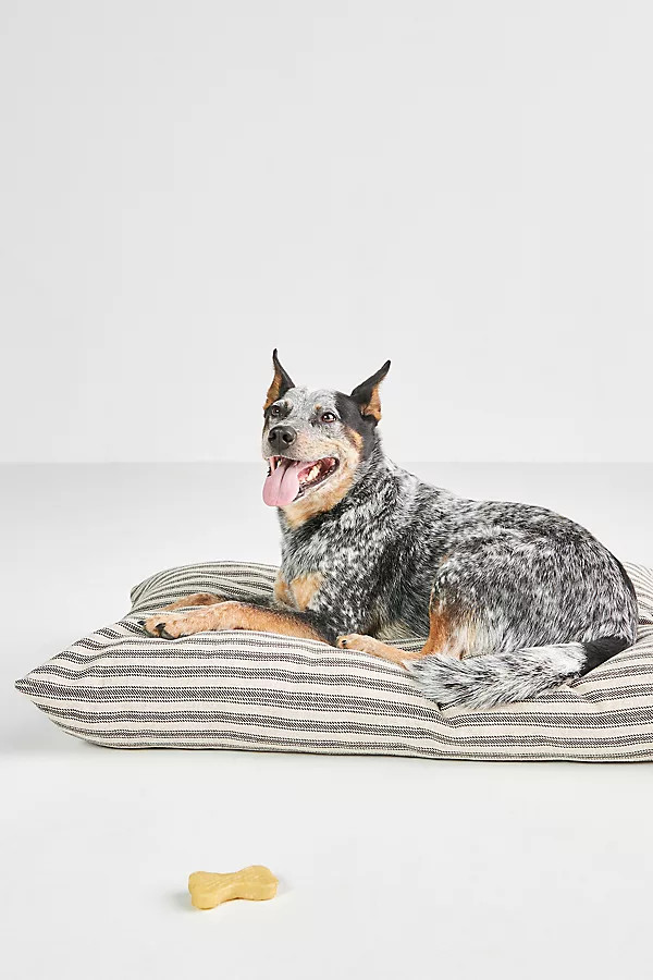 Plush Dog Bed | Anthropologie (US)