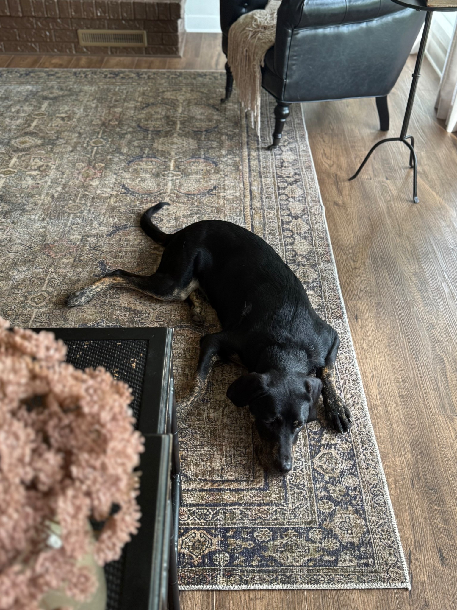 Still one of my favorite rug purchases 🤎

#LTKHome