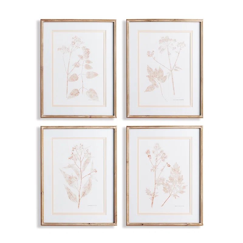 Libourne Blush Botanical Study Framed On Wood 4 Pieces Print | Wayfair North America