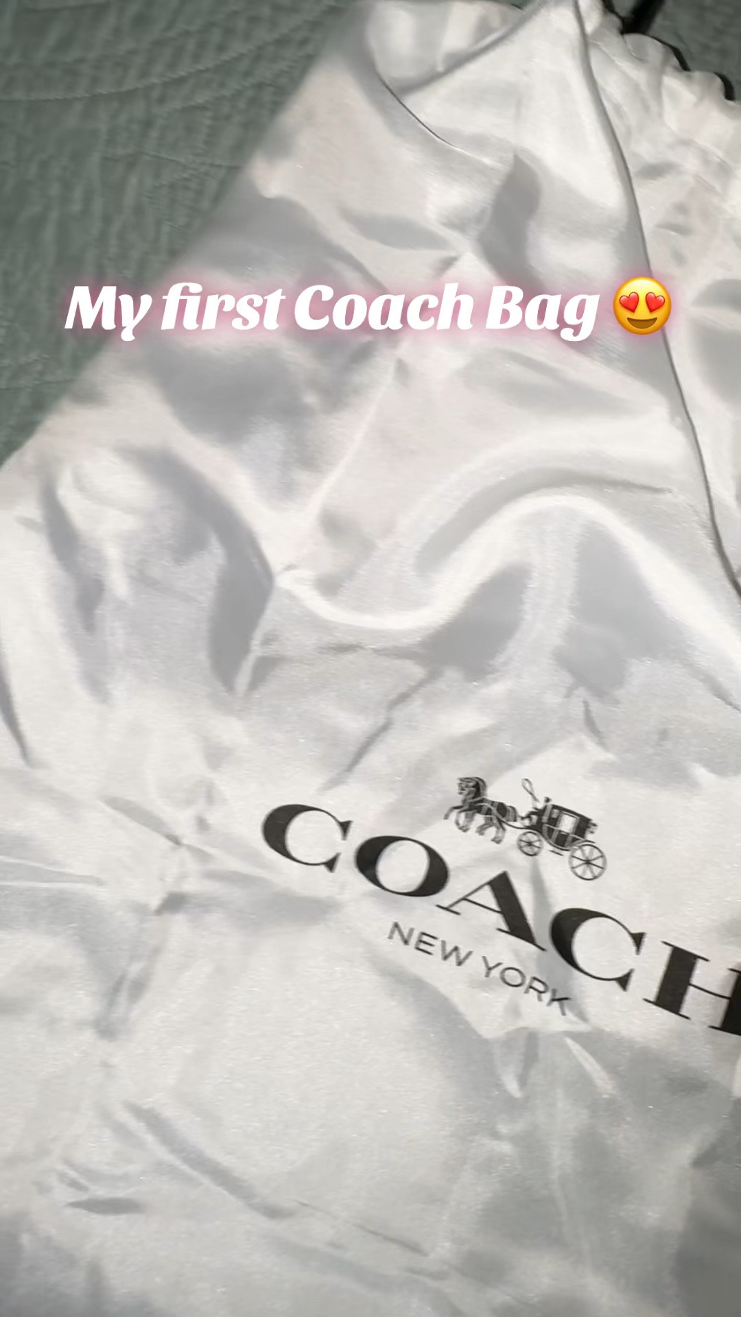 My first Coach bag! Brooklyn Shoulder Bag 28 😍 

#LTKItBag #LTKHoliday #LTKGiftGuide