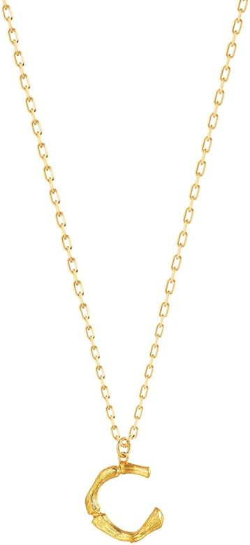 Bamboo Initial Necklace, 18K Gold Plated Stainless Steel Small Initial Necklace Personalized Lett... | Amazon (US)