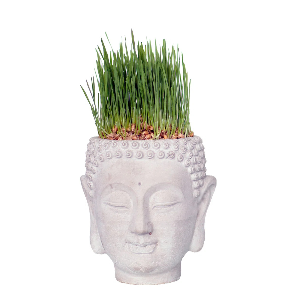 Faakhir Statue Planter | Wayfair North America