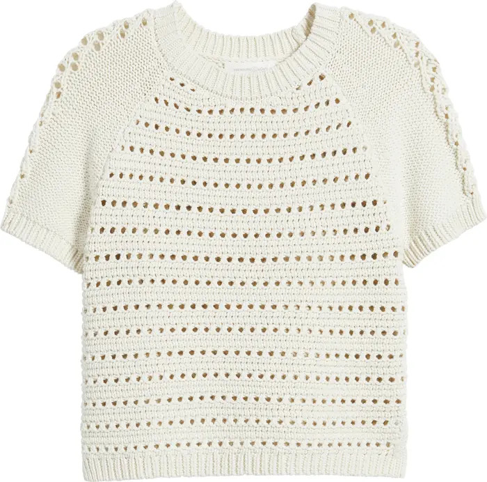 Treasure & Bond Pointelle Raglan Sleeve Sweater | Nordstrom | Nordstrom