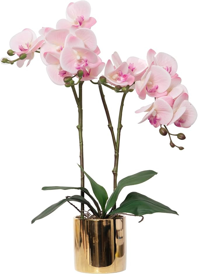 CXGS Artificial Orchid Flower Plant Real Touch Faux Orchids in Ceramic Vase Pink 19.7'' Fake Phal... | Amazon (US)