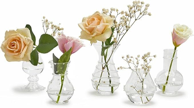 Two's Company Verre Set of 5 Bud Vase - Hand-Blown Glass | Amazon (US)