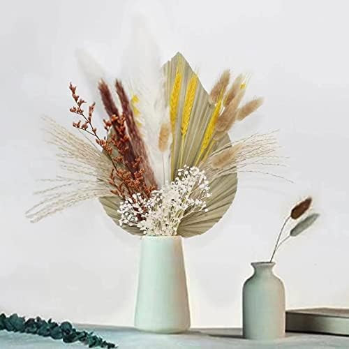 Hojas de palma secas de hierba de pampa seca para decoración de hierba de pampa de palma, hojas de p | Amazon (US)
