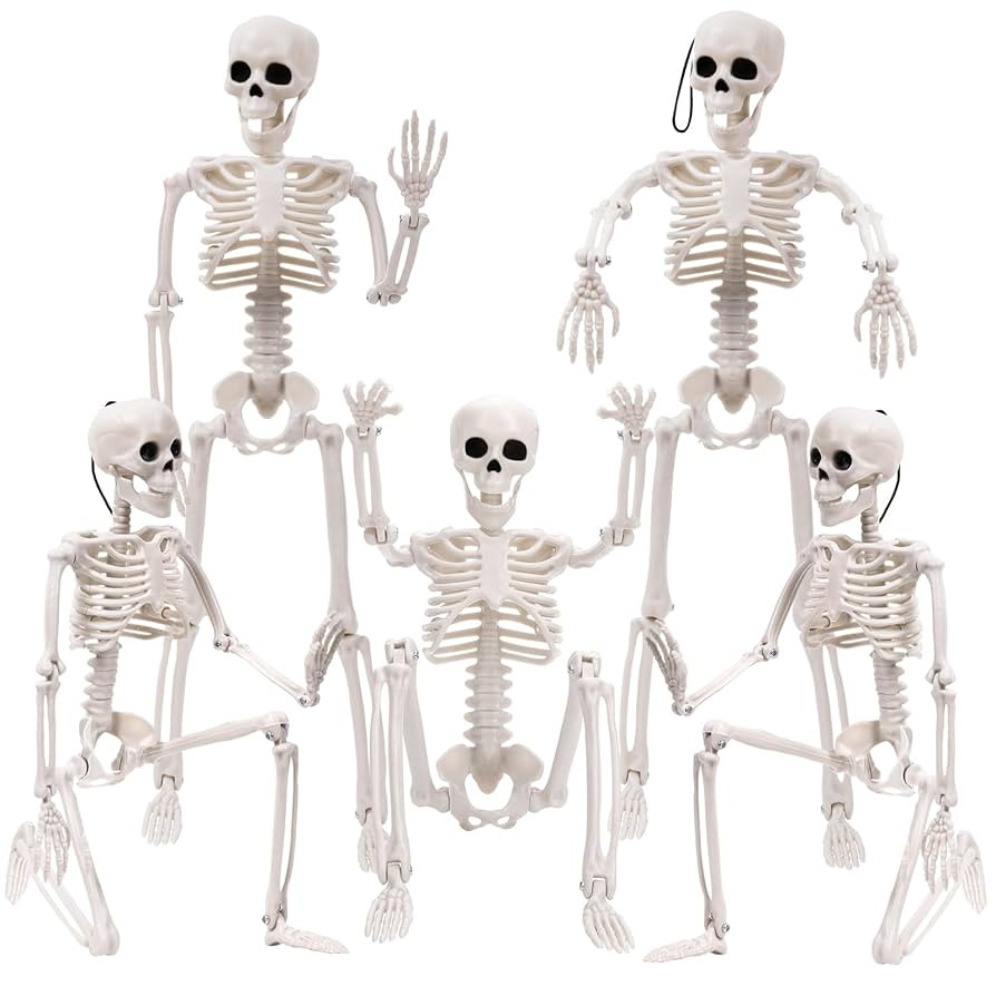 XIMISHOP 5pcs Halloween Skeleton Decoration, 16" Full Body Posable Hanging Skeleton with Movable ... | Amazon (US)