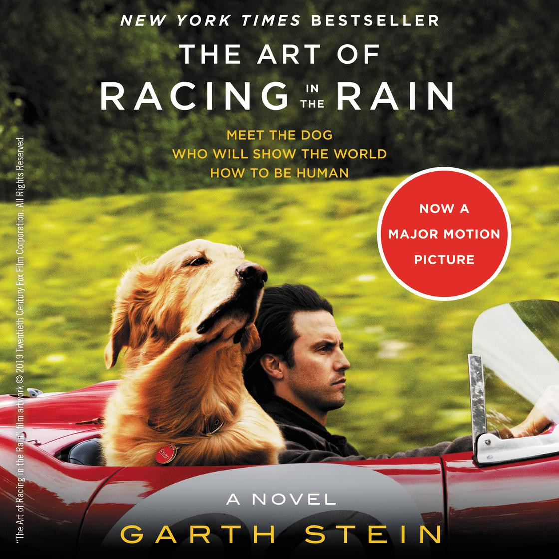 The Art of Racing in the Rain | Libro.fm (US)