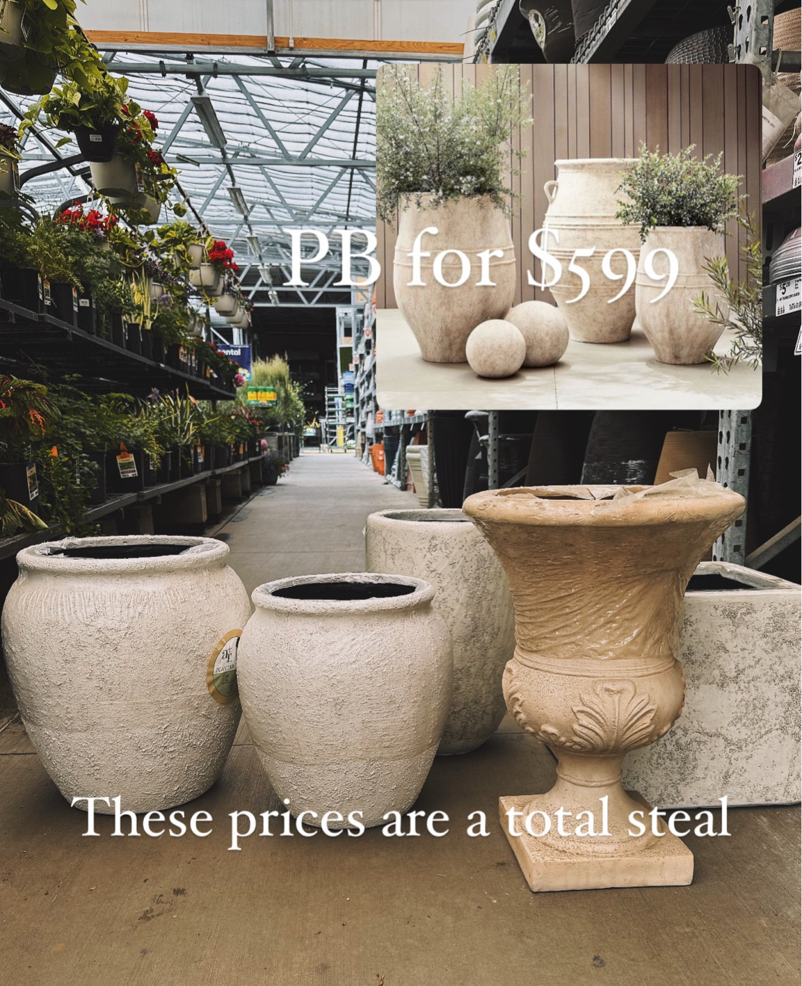 Total score with these gorgeous look a likes! The texture, shape and colors are so good! 

#LTKHome #LTKSeasonal #LTKFindsUnder100