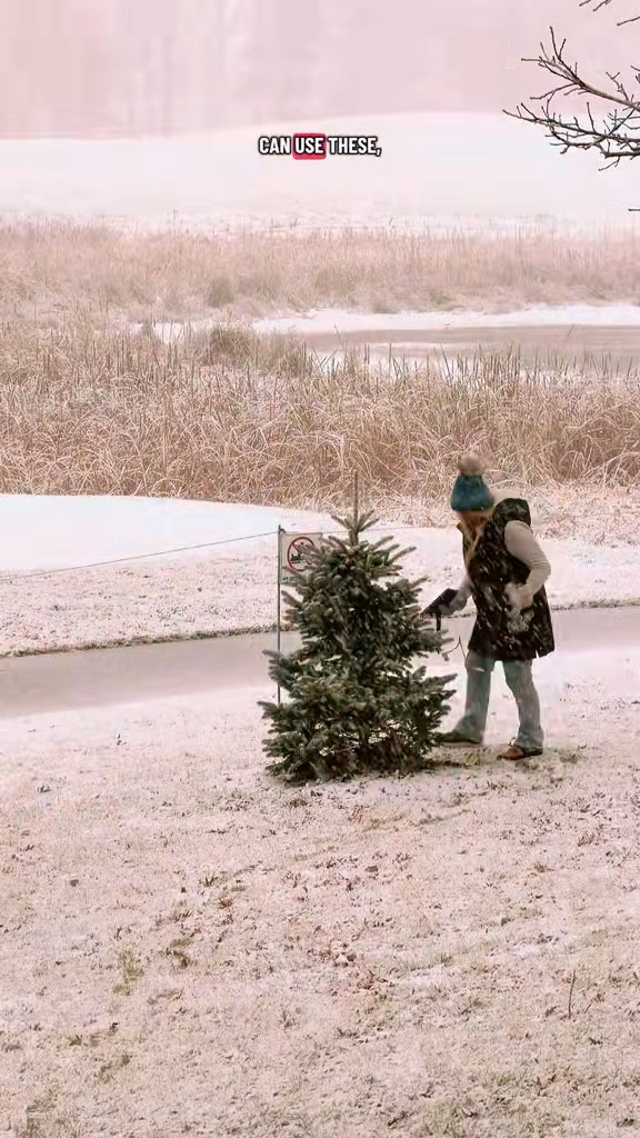 Solar powered Christmas lights let you add the magical glow to those hard to reach places. No electricity needed! 