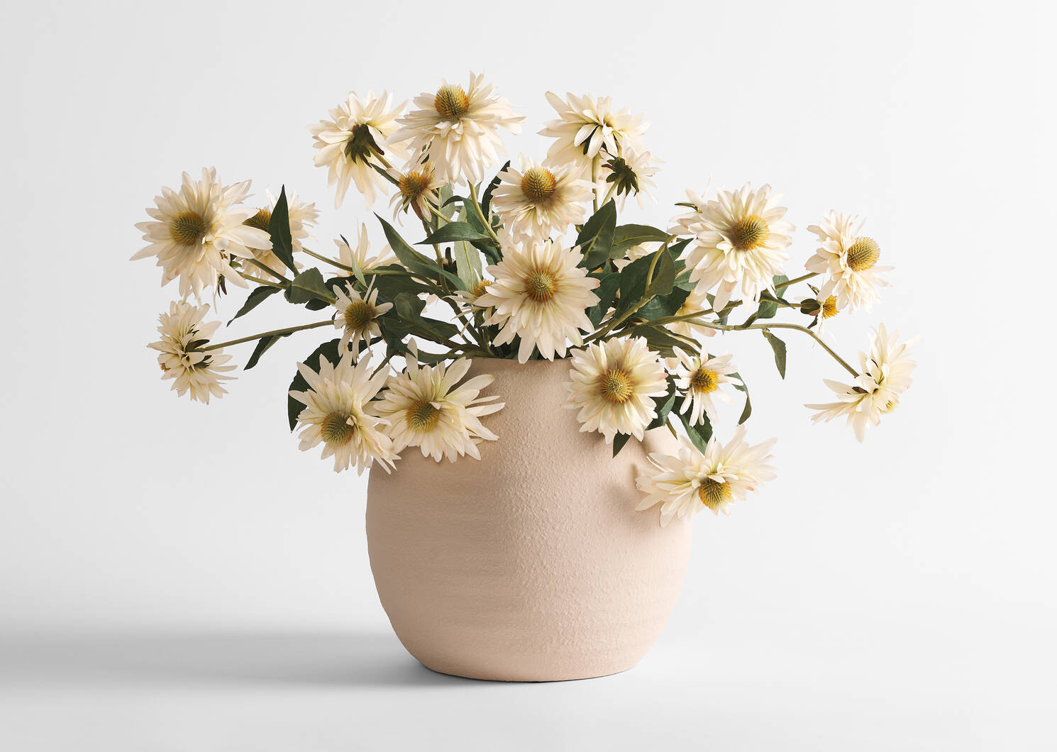 Cate Echinacea Stem Ivory | Urban Barn