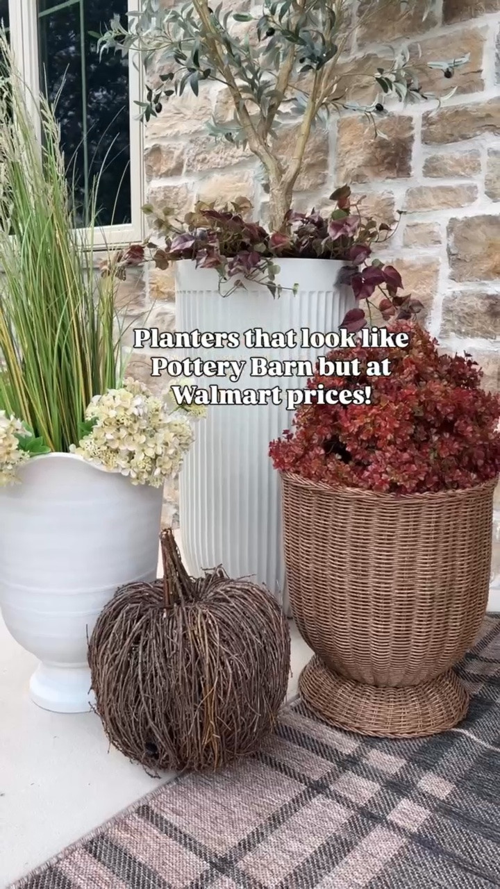 Planters that look like Pottery Barn but are Walmart pricing!

Walmart - fall decor - fall Walmart finds - fall finds - fall porch - fall planters - front porch decor - planters

#LTKmomlife #LTKSeasonal #LTKHome