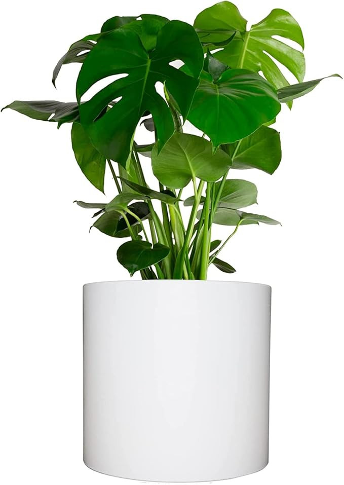 Elly Décor 12 inch Round Cylinder Plastic Planter with Drainage, Round Classic Smooth Texture, L... | Amazon (US)