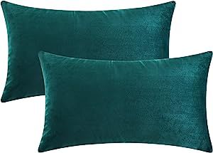 Mixhug Set of 2 Cozy Velvet Rectangle Decorative Throw Pillow Covers for Couch and Bed, Teal, 12 ... | Amazon (US)