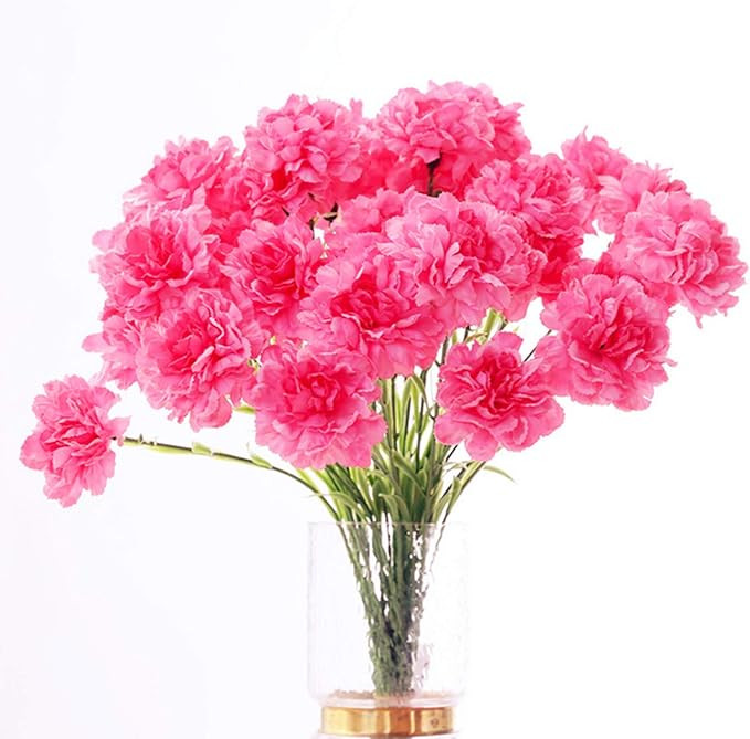 20 inch Bouquets 10 Stem Rainbow Carnations,Outdoor UV Resistant No Fade Artificial Flower,Carnat... | Amazon (US)