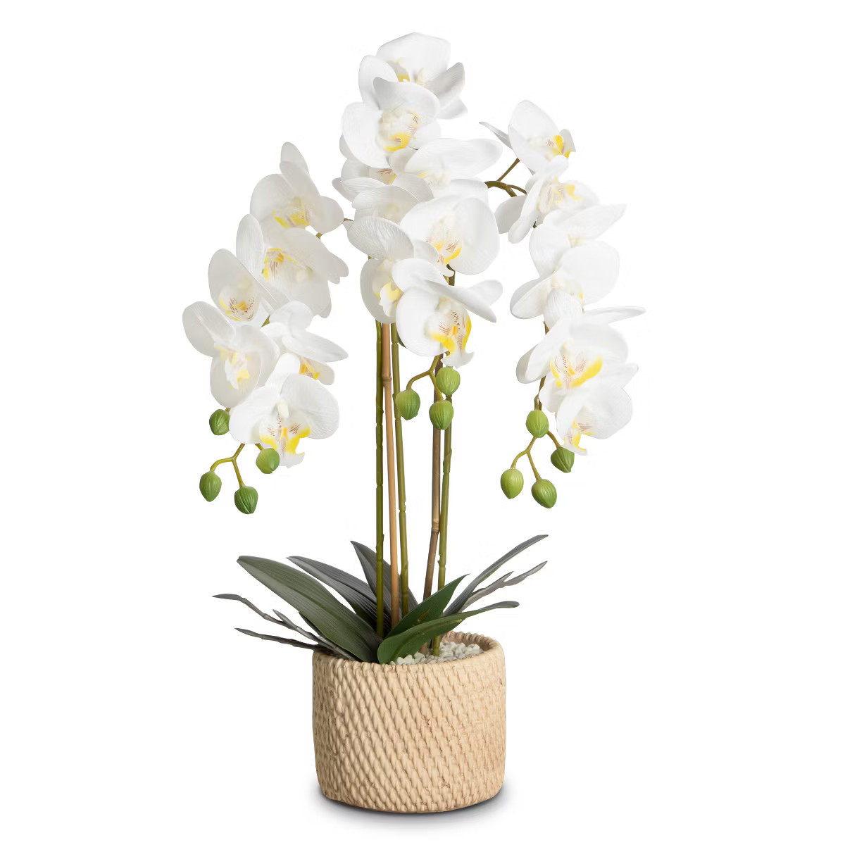 Silk Orchid Arrangement In Pot | Target