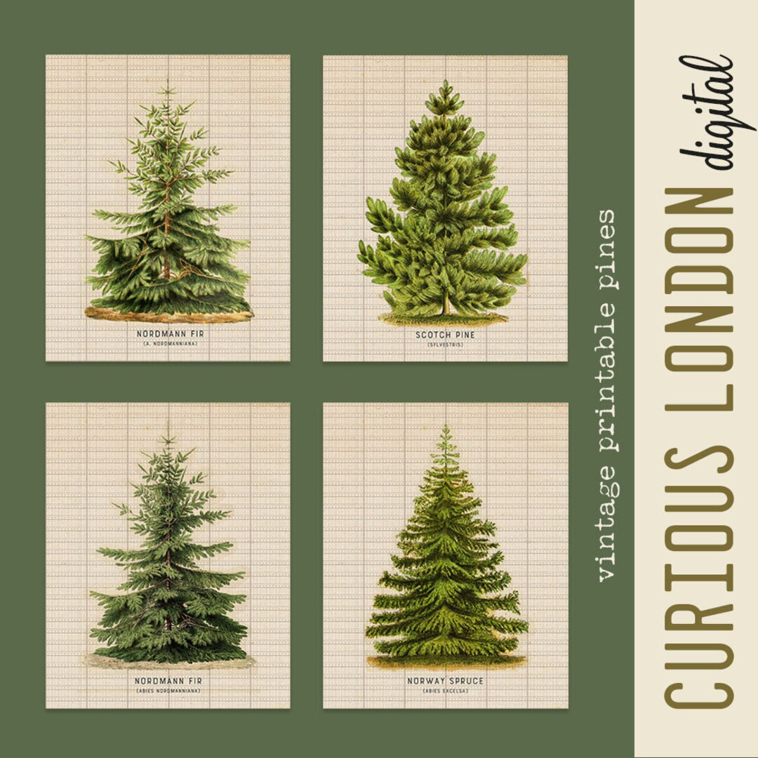 Pine Tree Prints I Christmas Art I Printable Wall Art I Holiday Decor I Woodland Christmas I Digi... | Etsy (US)