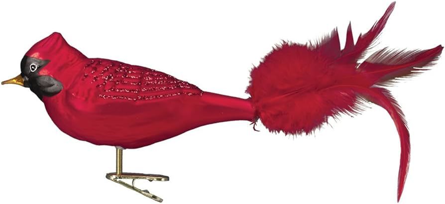 Old World Christmas Large Red Cardinal Glass Blown Ornament for Christmas Tree | Amazon (US)