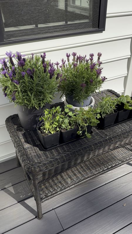 Herb growers 💚 this 3-pack comes in black or white. Perfect for on the deck or indoor use. 

#LTKSeasonal #LTKHome #LTKGiftGuide